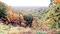 brown county
